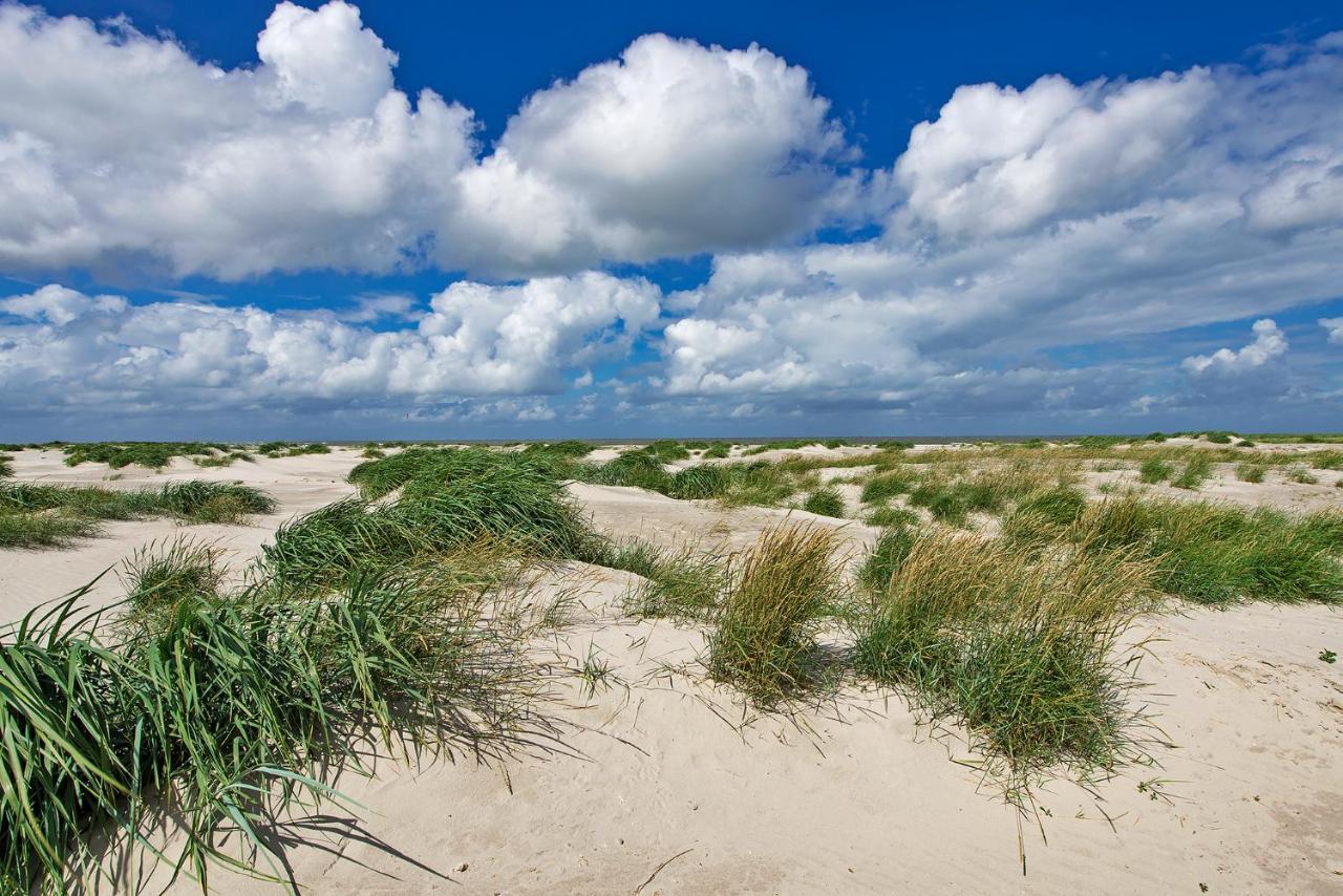 Appartement Duinzee Texel Де-Коог Экстерьер фото